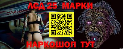 индика Славгород