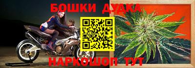 индика Славгород
