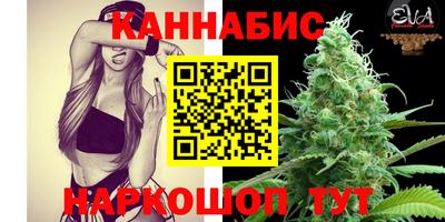 индика Славгород