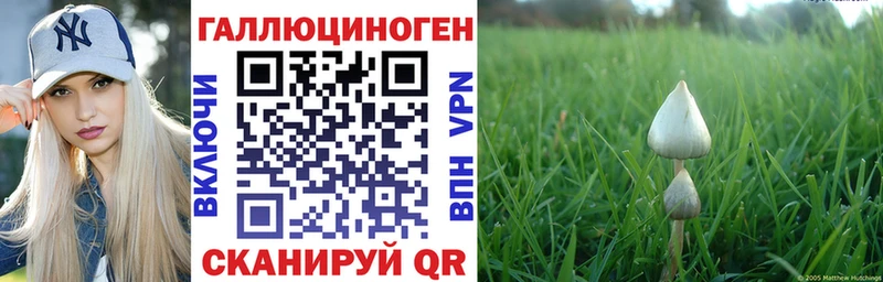 Галлюциногенные грибы Psilocybe  Протвино 